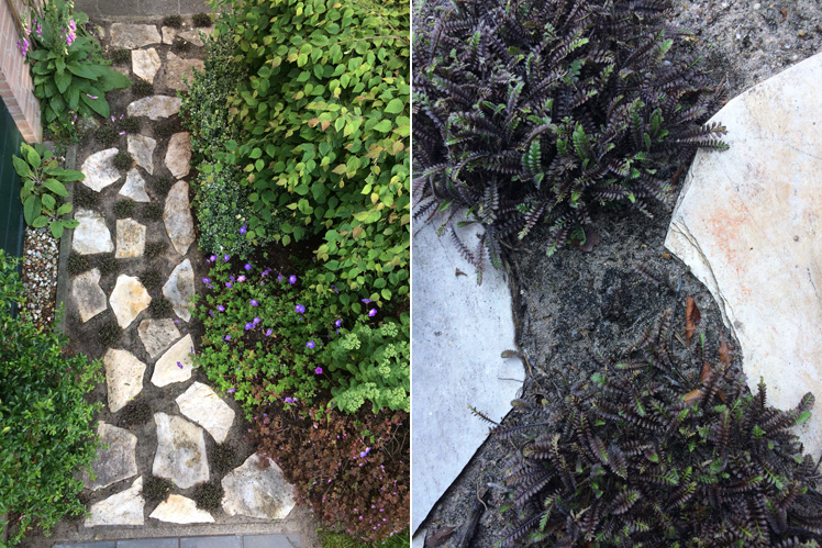 Flagstone pad met koperknoopje
